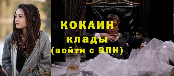 шишки Абинск