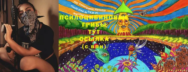 молекула духа Сафоново