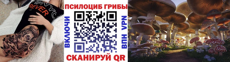 купить закладку  omg   Псилоцибиновые грибы Cubensis  Никольск 